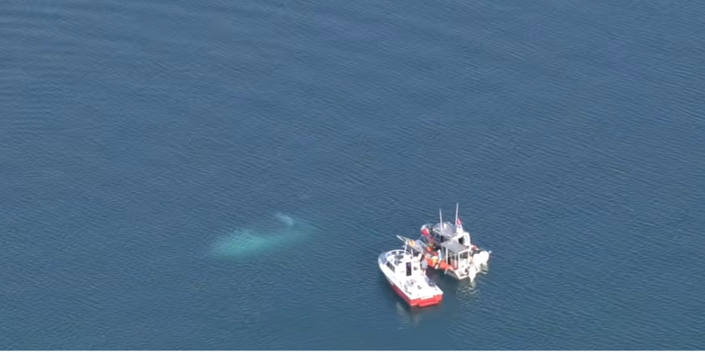 Off-Duty Chicago Officer Rescues Four From Sinking Boat on Lake Michigan